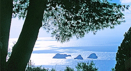 Villa Mon Plaisir